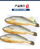 琅琊本地新鲜深海黄花鱼1斤±100克/条 商品缩略图1