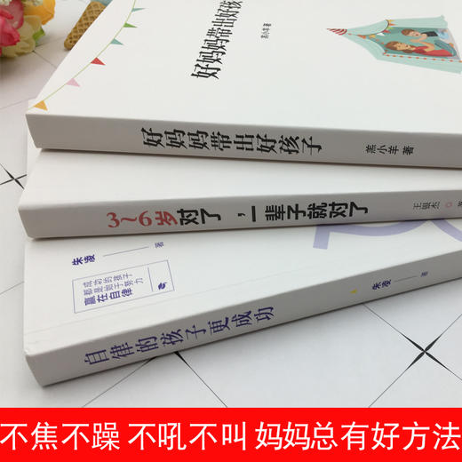 正版 好妈妈教出好孩子亲子教育宝典学前家庭正面管教培养孩子心理发展规律 3456789 10岁敏感期改变 儿童学龄儿家长亲子育儿书籍 商品图2