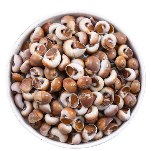 新鲜鲜活猫眼螺1斤/份 商品图1