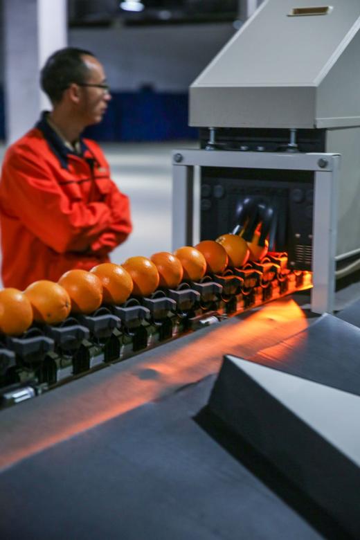 赣南脐橙 给你一口自然橙长的甜 精品礼盒装 商品图2