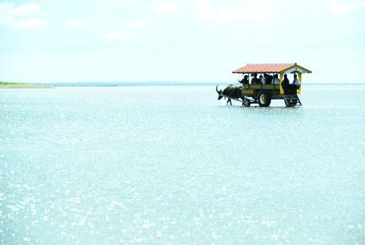 日本自然-群岛（二） 商品图10