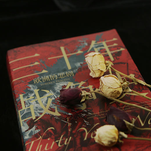 三十年战争史 商品图3