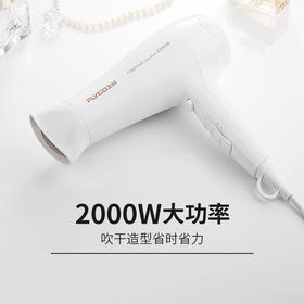 飞科2000w电吹风机/个