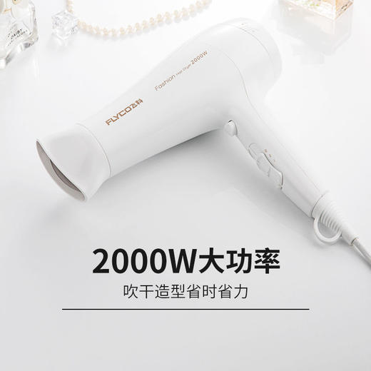 飞科2000w电吹风机/个 商品图0