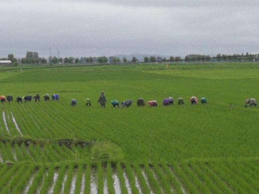 私田订制季卡 商品图0