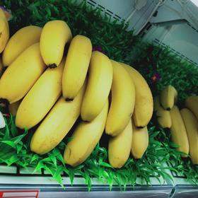 进口香蕉