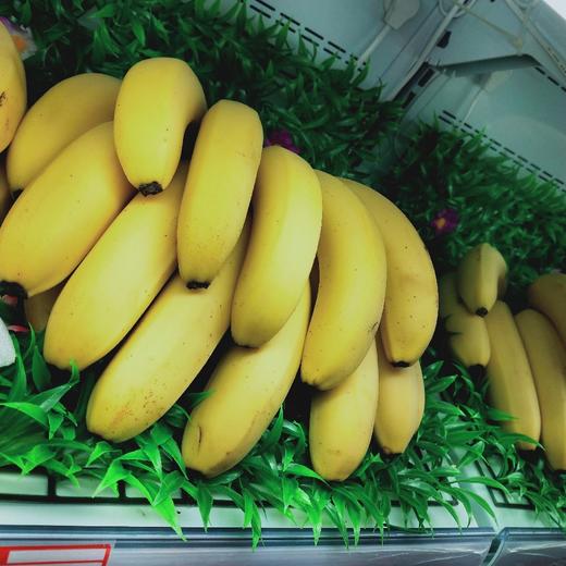 进口香蕉 商品图0