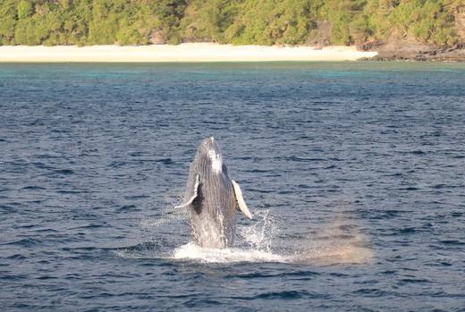 日本自然-群岛（二） 商品图7