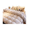 羽绒被/套 商品缩略图0
