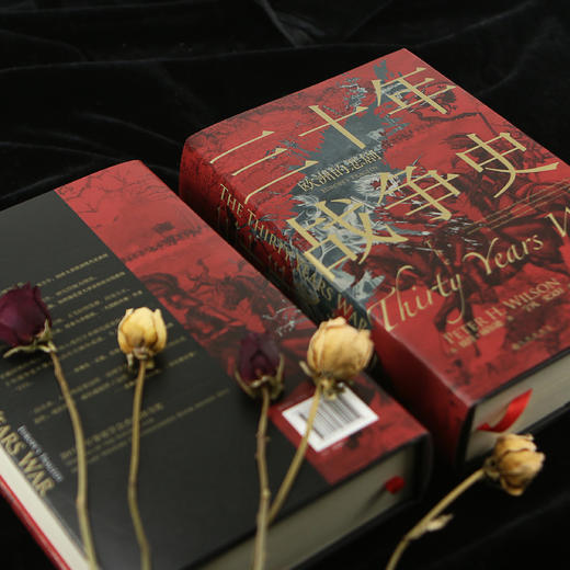 三十年战争史 商品图6