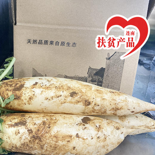 广东连南高山白萝卜5斤 商品图0