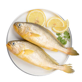 琅琊本地新鲜深海黄花鱼1斤±100克/条