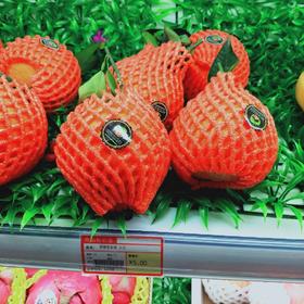 爱媛果冻橙  大号