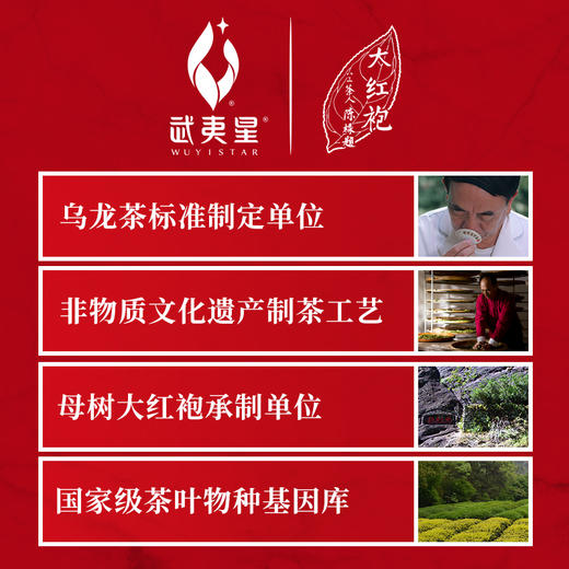 武夷星 特级大红袍礼盒 红袍人生100g 武夷岩茶乌龙茶茶叶 A1912 商品图4