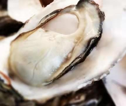 正宗乳山三倍体生蚝3斤/份 商品图1