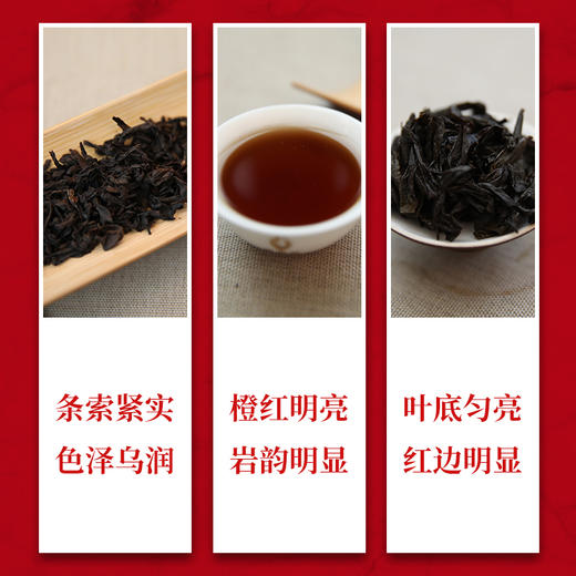 武夷星 特级大红袍礼盒 红袍人生100g 武夷岩茶乌龙茶茶叶 A1912 商品图1