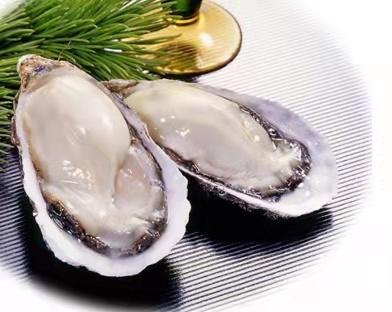 正宗乳山三倍体生蚝3斤/份 商品图0