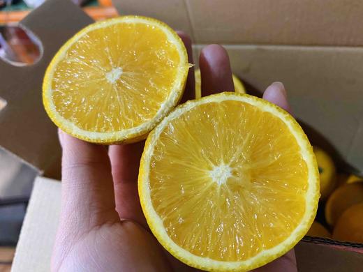 【新货】永兴涌水冰糖橙~果肉纯甜好吃,一点点微微酸,5斤小果为长沙仓