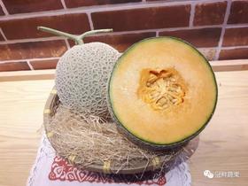 阿鲁斯网纹瓜