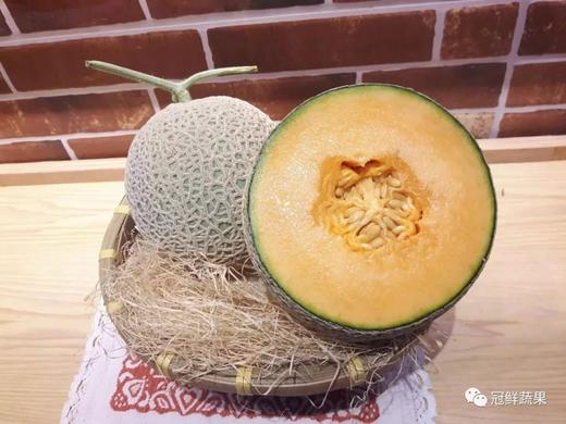 阿鲁斯网纹瓜 商品图0