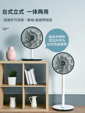 【大宇】大宇电风扇F1果岭风落地家用超静音摇头台立大风力对流空气循环扇