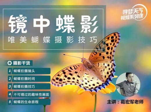 寻梦天下摄影学院【视频课程】 商品图5