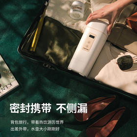 【大宇】大宇便携式烧水壶电热水壶家用煮水小型迷你旅行保温杯新款D2