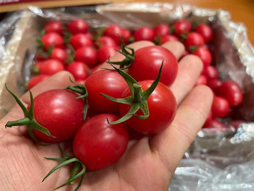 今天就30箱卖完结束[微笑]海南陵水千喜果到上新了!