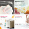 【东菱】Donlim/东菱DL-TM018面包家用全自动和面发酵馒头小型肉松 商品缩略图2