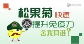 松果菊产基础培训