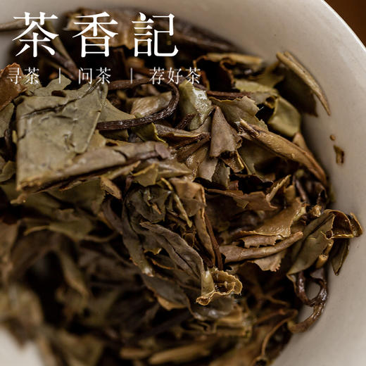 茶香记 一等奖白牡丹饼2016年 张广泰 春茶 炭焙工艺 甜润度高 转化良好 商品图3