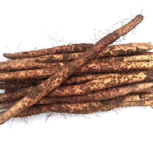 正宗河南焦作温县垆土铁棍山药（又名怀山药） 商品图5