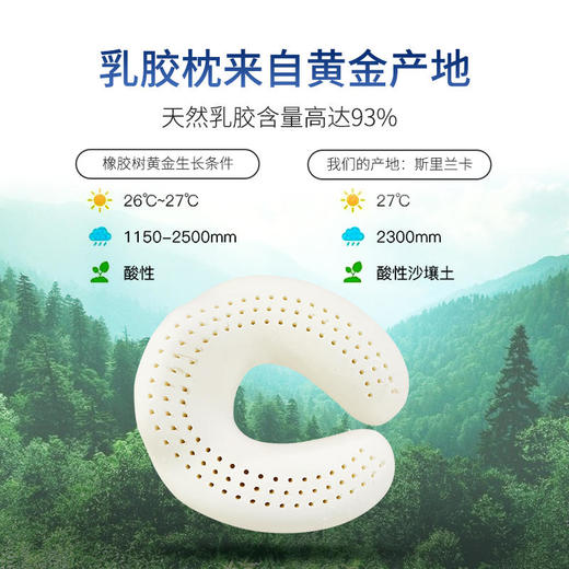 斯里兰卡天然乳胶枕护颈枕 商品图4