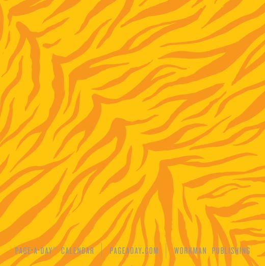 日历馆：英文原版进口折纸日历2021（少量现货）送孩子礼物 商品图3