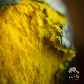 生态贝贝南瓜 | 绿家自产*Eco-baby pumpkin | Self-production