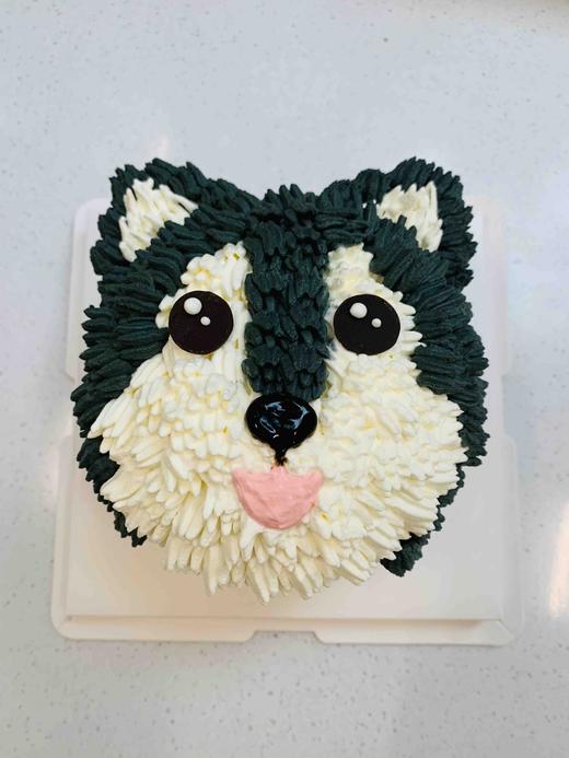 狗狗 下单前请仔细阅读商品详情 商品图1