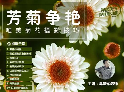 寻梦天下摄影学院【视频课程】 商品图4