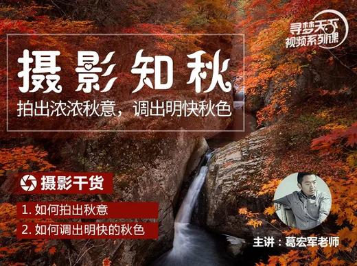寻梦天下摄影学院【视频课程】 商品图1