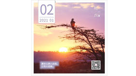 【花丘•心语】