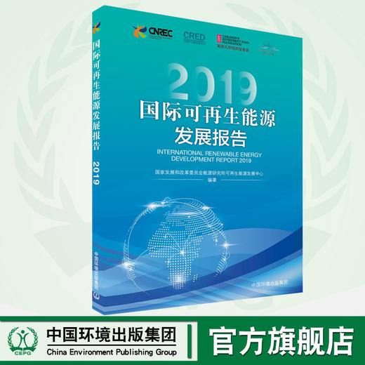 国际可再生能源发展报告2019   9787511142276   国家发展和改革委员会能源研究所可再生能源发展中心 商品图0