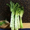 莴笋500g/棵±50g 商品缩略图0