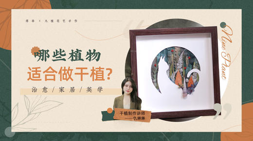干植普及：哪些植物适合做干植? 商品图0