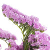 配花 | 勿忘我粉色 商品缩略图3