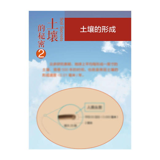 土壤科普挂图 中国环境出版集团 商品图4