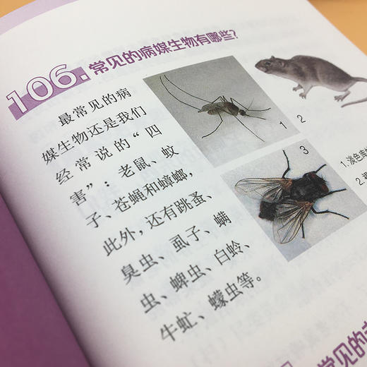 爱健康讲卫生问与答 中国环境出版集团 9787511143198 9787511143198  6·5环境日公众普法宣传资料 商品图3