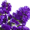 配花 | 勿忘我深紫色 商品缩略图3