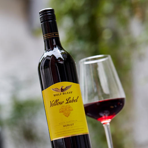 禾富黄牌梅洛红葡萄酒750ML     2瓶包邮 商品图1