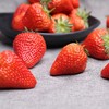 盘州刘官新鲜现摘当季草莓 3斤一筐装 商品缩略图4