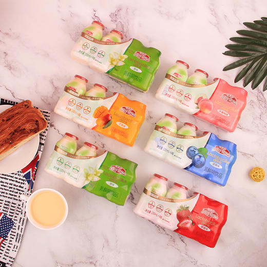 界界乐 乳酸菌饮品100ml*4瓶益生菌饮料早餐酸牛奶儿童酸奶整箱（无货） 商品图1