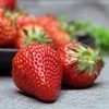 盘州刘官新鲜现摘当季草莓 3斤一筐装 商品缩略图0
